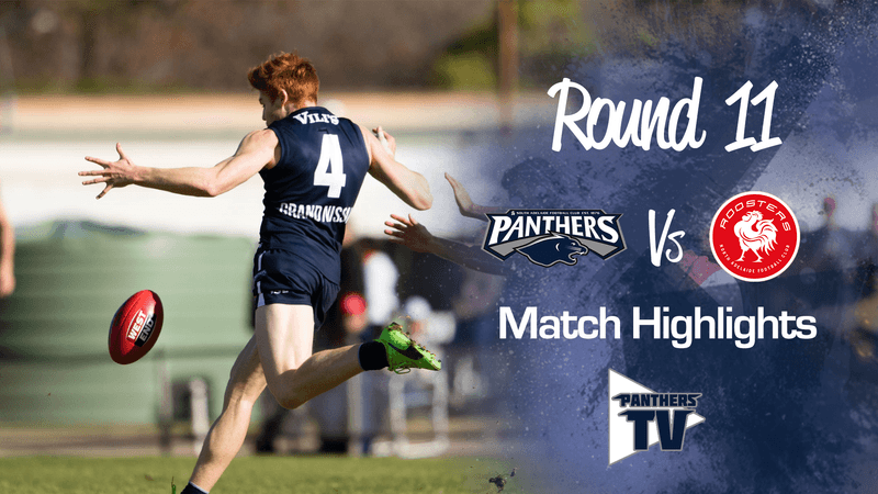 Panthers TV: South Adelaide Vs North - Round 11 Highlights Panthers TV: South Adelaide Vs North - Round 11 Highlights